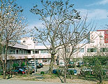 桐樹園・桜花園