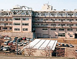 桃李園